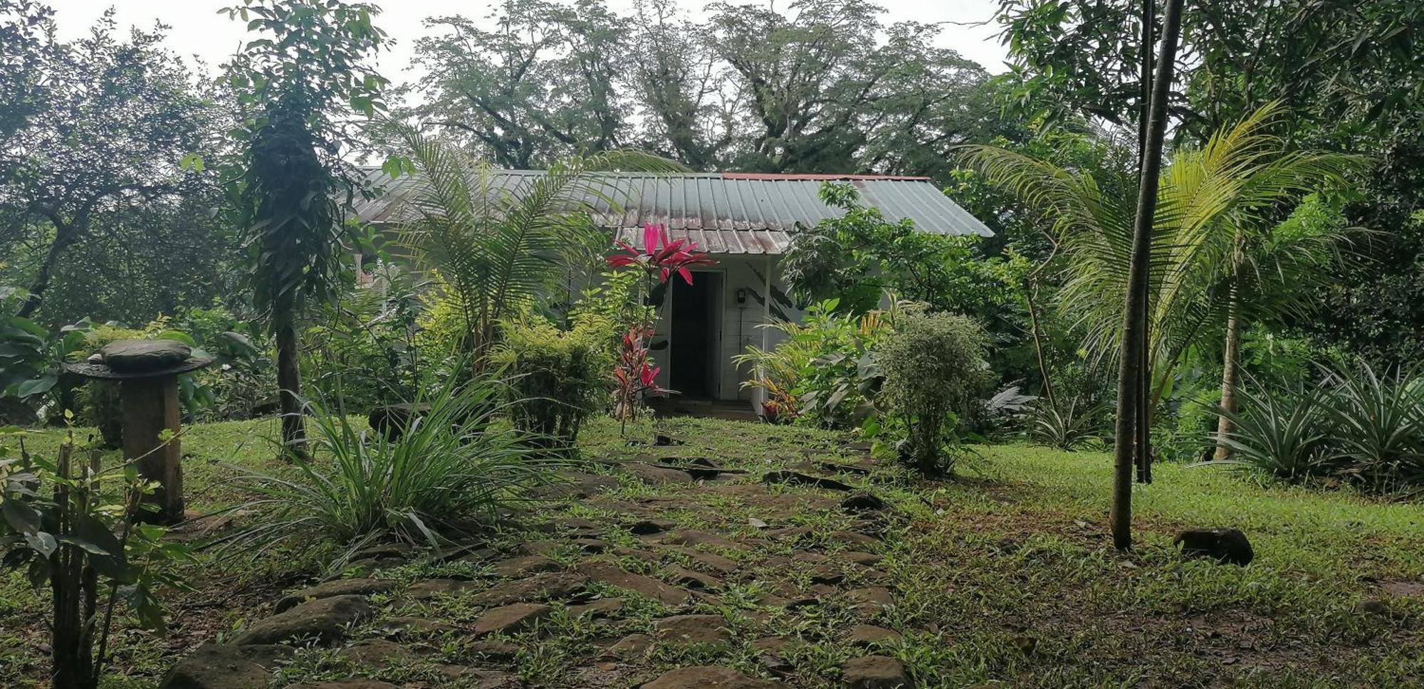 Casa De Andrea Villa Santo António Exteriör bild