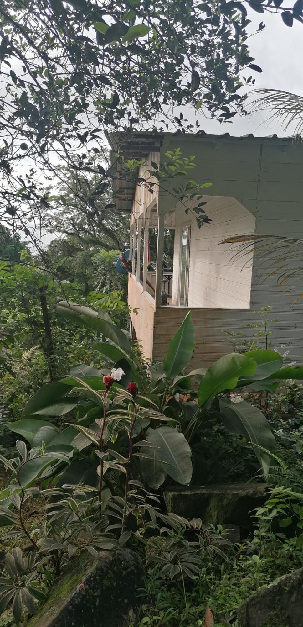 Casa De Andrea Villa Santo António Exteriör bild